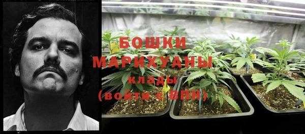 бошки Кинешма