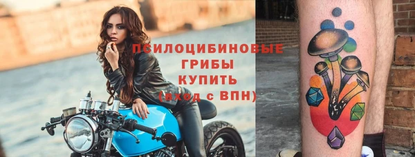 гидропоника Карпинск