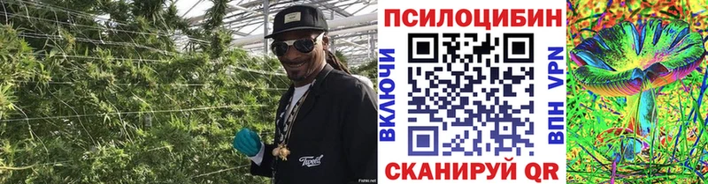 Псилоцибиновые грибы мицелий  Купить где  Кыштым 