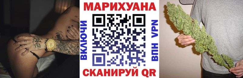 Каннабис план  Купить  Кыштым 